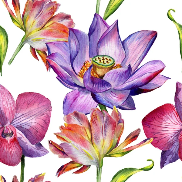 Kır çiçeği çiçek deseni izole bir suluboya tarzında.