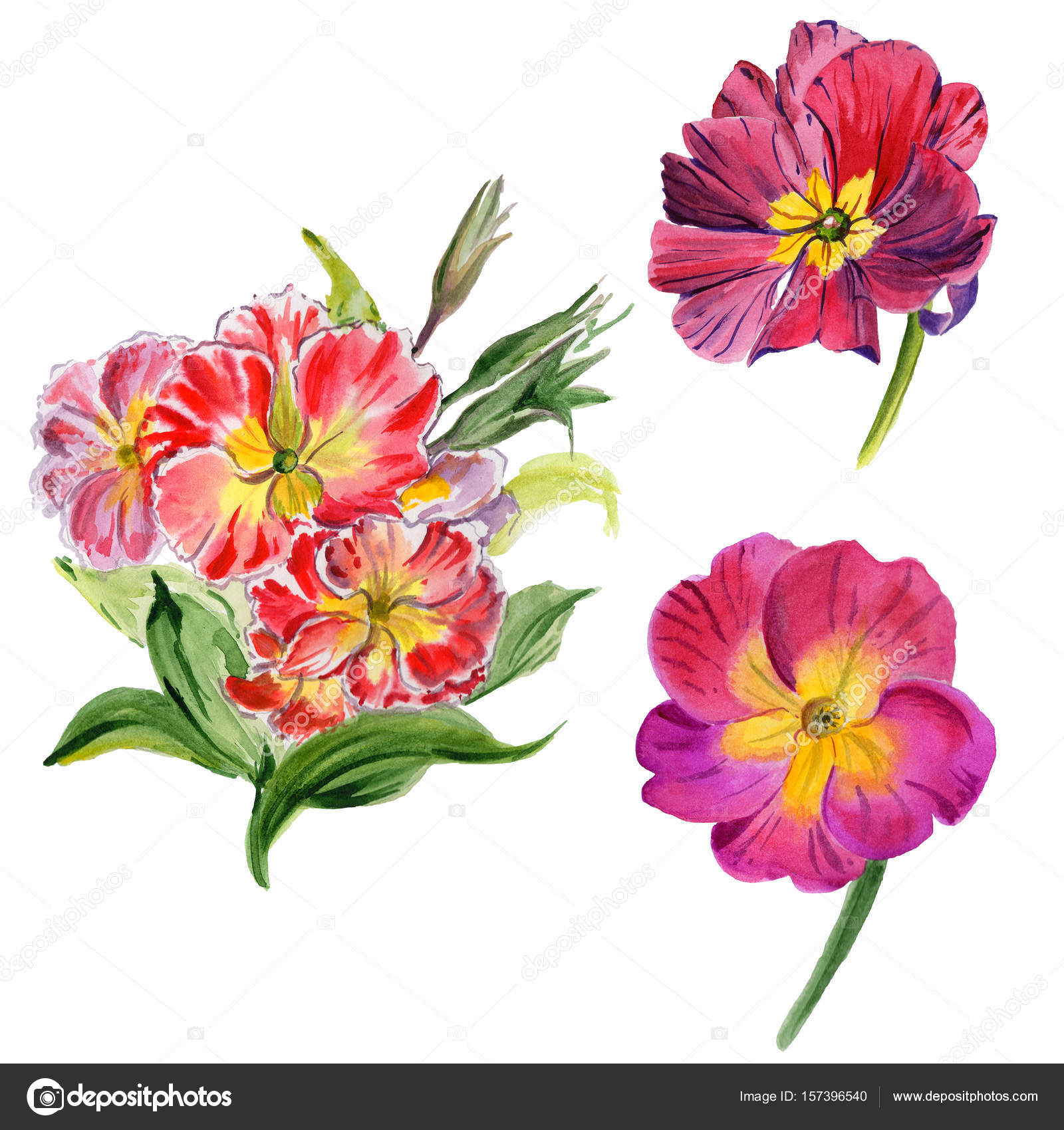 すべての美しい花の画像 トップ100 ワイルドフラワー 花 すべての美しい花の画像 トップ100 ワイルドフラワー 花