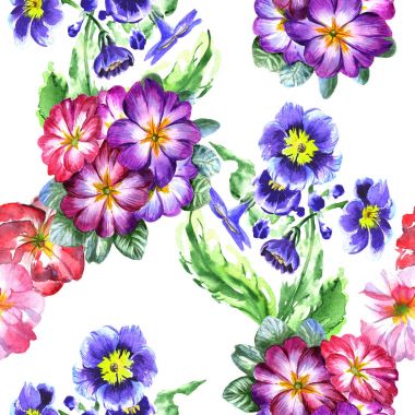 Kır çiçeği viola çiçek deseni izole bir suluboya tarzında.