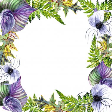 Tropikal Hawaii palmiye ağacı çerçeve izole bir suluboya tarzında bırakır..