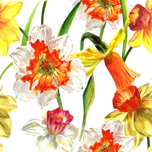 Wildflower Narcissus blommönster i akvarell stil isolerade. — Stockfoto