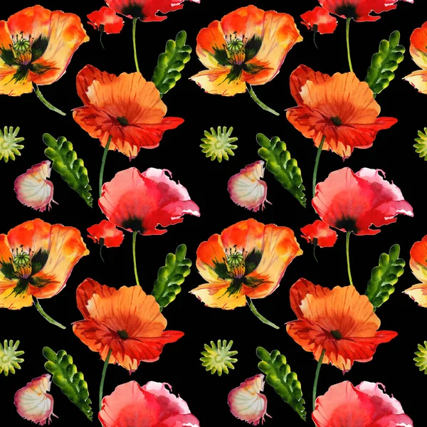 Wildflower máku květinový vzor ve stylu akvarelu, samostatný. — Stock fotografie