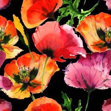 Kır çiçeği haşhaş çiçek deseni izole bir suluboya tarzında.