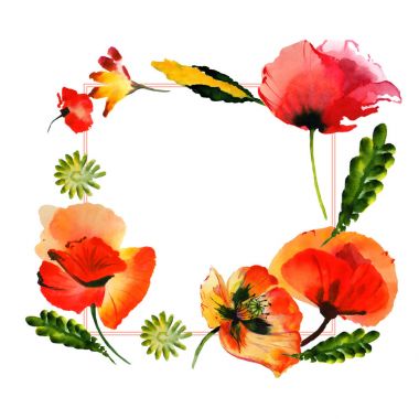 Kır çiçeği haşhaş çiçek çerçeve izole bir suluboya tarzında.