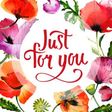 Kır çiçeği haşhaş çiçek çerçeve izole bir suluboya tarzında.