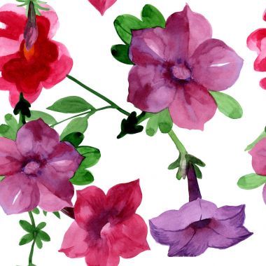 Kır çiçeği Bluebell çiçek deseni izole bir suluboya tarzında.