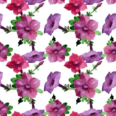 Kır çiçeği Bluebell çiçek deseni izole bir suluboya tarzında.