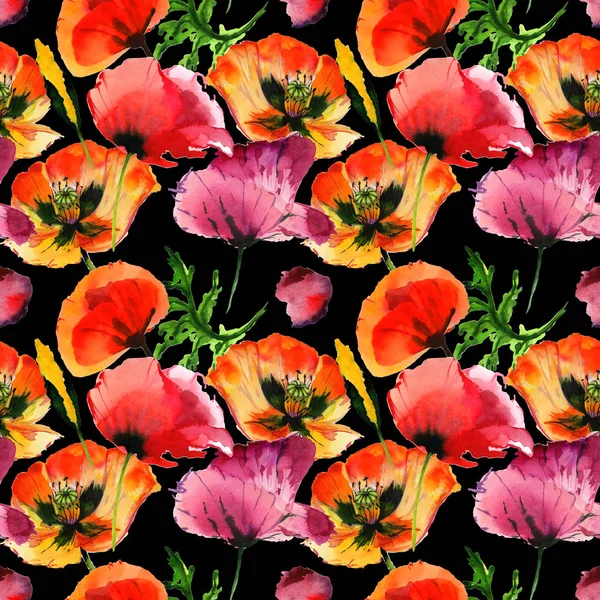 分離された水彩画のワイルドフラワー ケシの花のパターン. — ストック写真