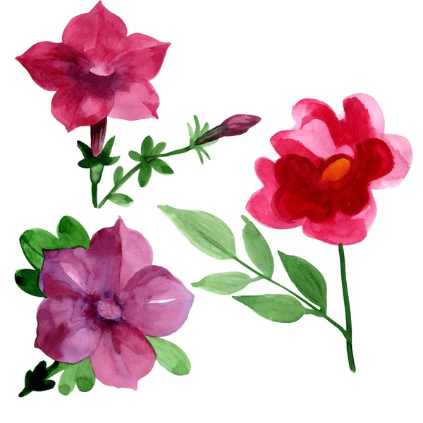 Vadvirág Bluebell virág elszigetelt akvarell stílusú. — Stock Fotó
