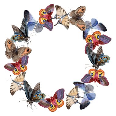 Suluboya kelebek ihale böcek, intresting güve, izole kanat illüstrasyon