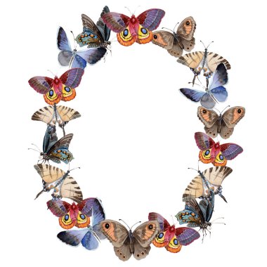 Suluboya kelebek ihale böcek, intresting güve, izole kanat illüstrasyon