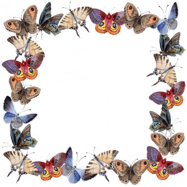 Suluboya kelebek ihale böcek, intresting güve, izole kanat illüstrasyon