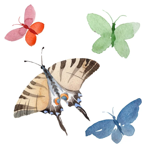 Akvarell fjäril anbud insekt, intressant moth, isolerade wing illustration — Stockfoto