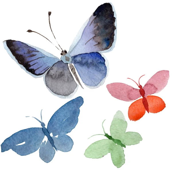 Aquarel vlinder tedere insect, intresting nachtvlinder, geïsoleerde vleugel illustratie — Stockfoto