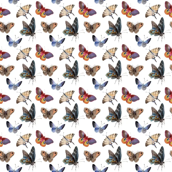 Akvarelu motýl zadávací hmyzu, intresting můra, ilustrace izolované křídlo — Stock fotografie