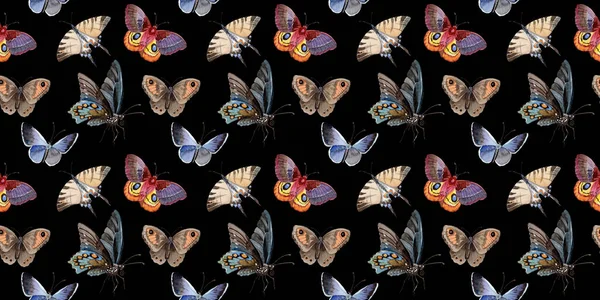 Insetto tenero farfalla acquerello, falena intrisa, illustrazione ala isolata — Foto Stock