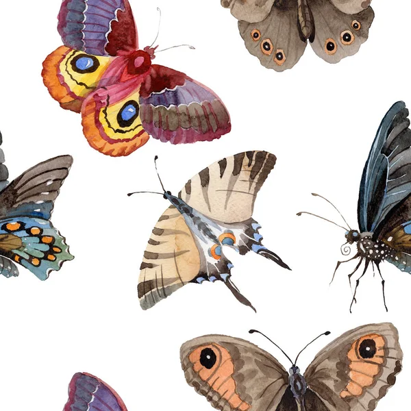 Ακουαρέλα πεταλούδα τρυφερή εντόμων, intresting σκώρο, απομονωμένες πτέρυγα εικονογράφηση — Φωτογραφία Αρχείου
