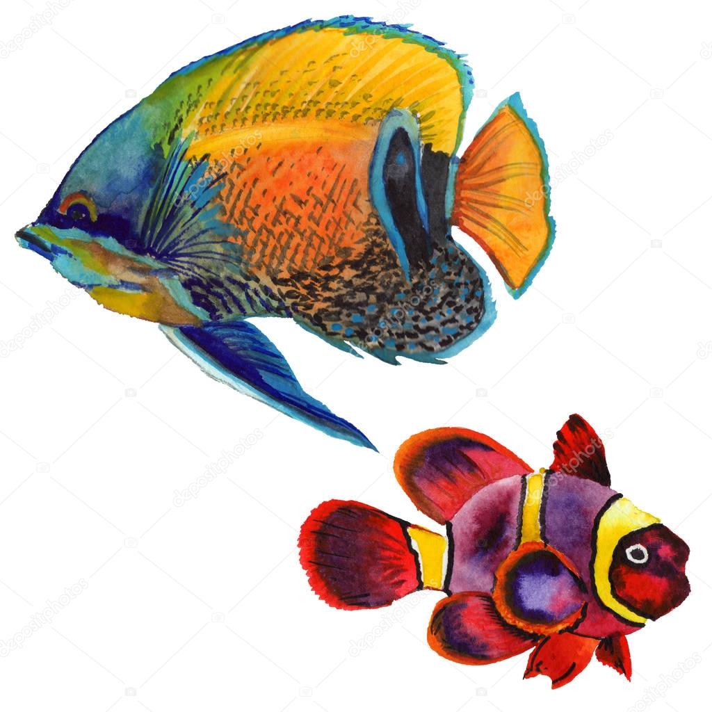 Watercolor aquatic underwater colorful tropical fish set. Red sea and exotic fishes inside.