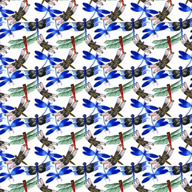 Böcek yusufçuk desen izole bir suluboya tarzında.