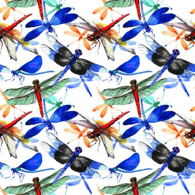 Böcek yusufçuk desen izole bir suluboya tarzında.