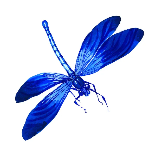 Libellule insecte dans un style aquarelle isolé . — Photo