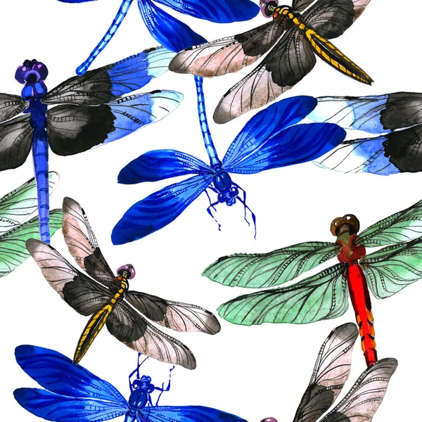 Insect dragonfly pattern in a watercolor style isolated. — Stock Photo, Image