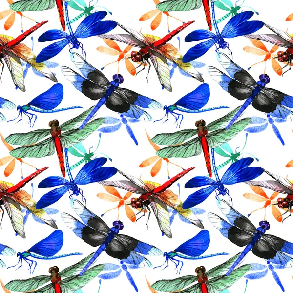 Padrão de libélula de insetos em um estilo aquarela isolado . — Fotografia de Stock