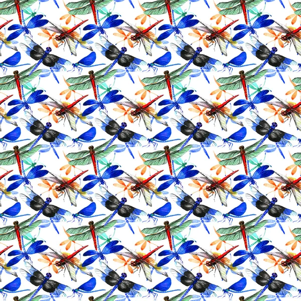 Insect dragonfly pattern in a watercolor style isolated. — Stock Photo, Image