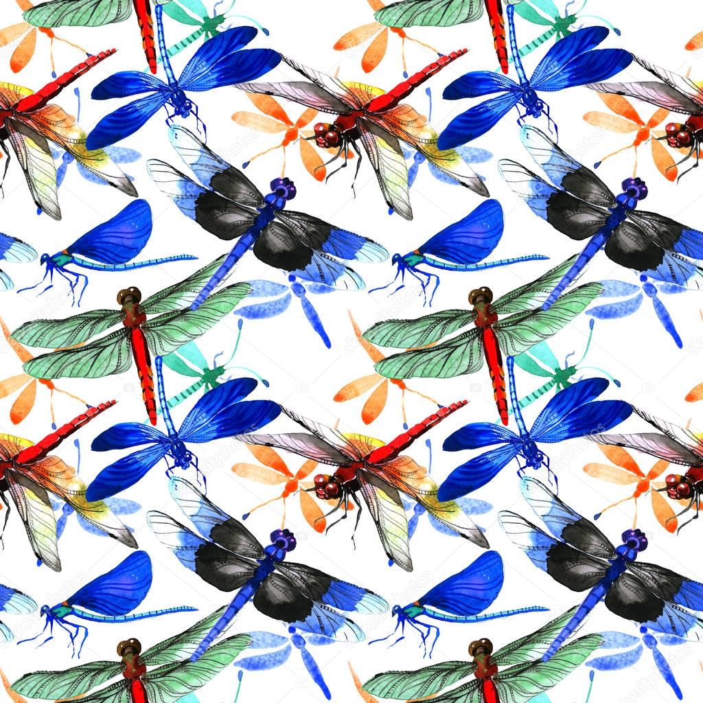Insect dragonfly pattern in a watercolor style isolated.