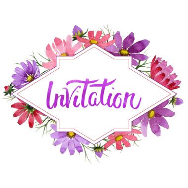 Kır çiçeği kosmeya çiçek çerçeve izole bir suluboya tarzında.