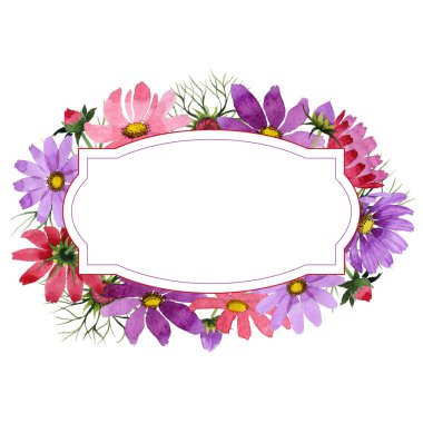 Kır çiçeği kosmeya çiçek çerçeve izole bir suluboya tarzında.