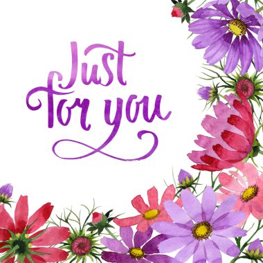 Kır çiçeği kosmeya çiçek çerçeve izole bir suluboya tarzında.