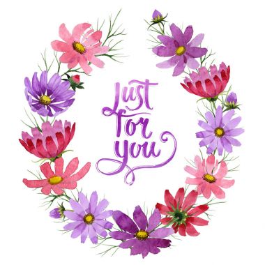 Kır çiçeği kosmeya çiçek çelenk izole bir suluboya tarzında.