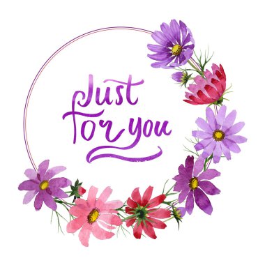 Kır çiçeği kosmeya çiçek çerçeve izole bir suluboya tarzında.