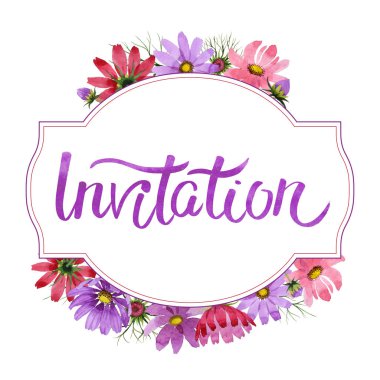 Kır çiçeği kosmeya çiçek çerçeve izole bir suluboya tarzında.