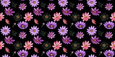 Kır çiçeği kosmeya çiçek deseni izole bir suluboya tarzında.