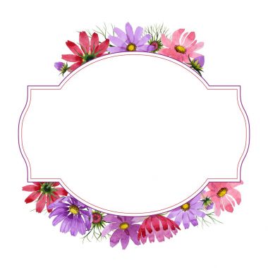 Kır çiçeği kosmeya çiçek çerçeve izole bir suluboya tarzında.