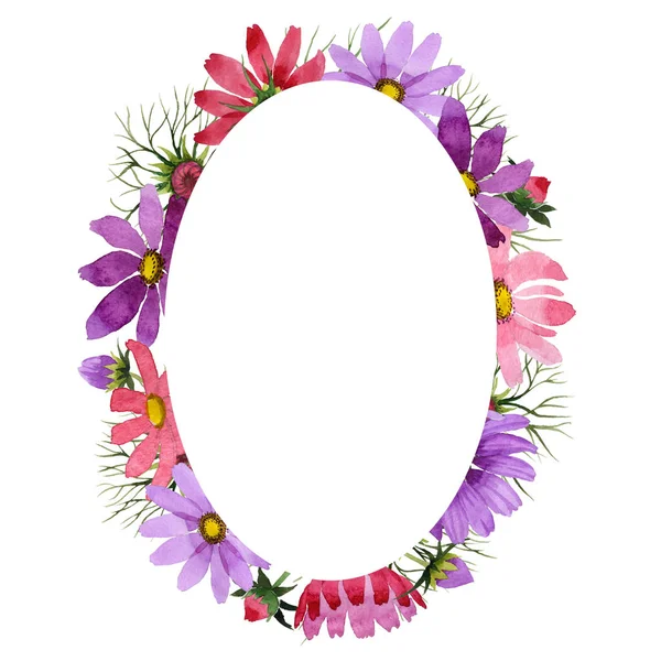 Wildflower kosmeya bloem frame in een aquarel stijl geïsoleerd. — Stockfoto