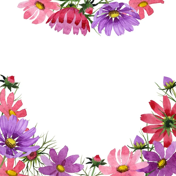 Wildflower kosmeya cornice fiore in stile acquerello isolato . — Foto Stock