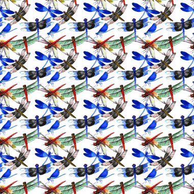 Böcek yusufçuk desen izole bir suluboya tarzında.