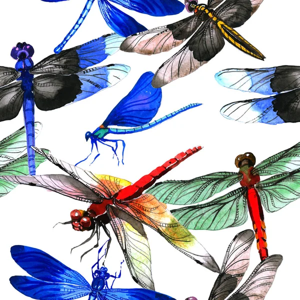 Insect dragonfly pattern in a watercolor style isolated. — Stock Photo, Image