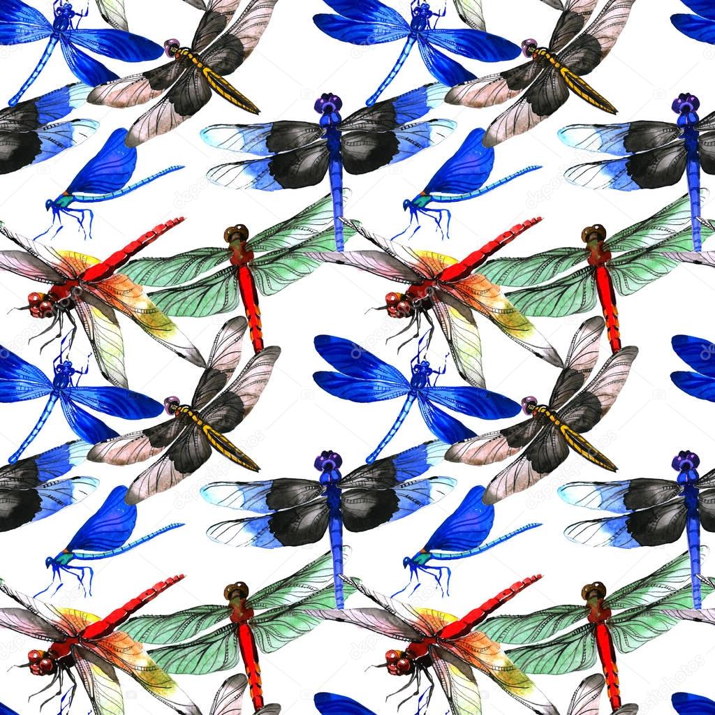 Insect dragonfly pattern in a watercolor style isolated.