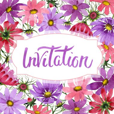 Kır çiçeği kosmeya çiçek çerçeve izole bir suluboya tarzında.