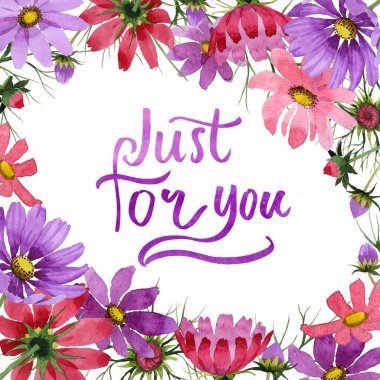 Kır çiçeği kosmeya çiçek çerçeve izole bir suluboya tarzında.