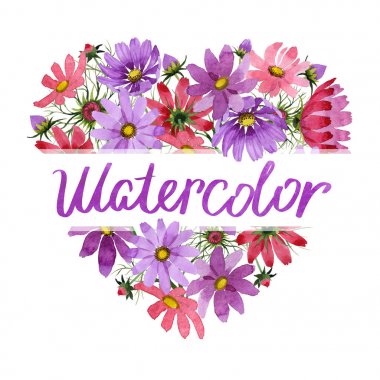 Kır çiçeği kosmeya çiçek çerçeve izole bir suluboya tarzında.