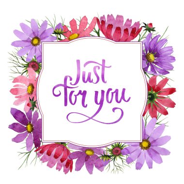 Kır çiçeği kosmeya çiçek çerçeve izole bir suluboya tarzında.