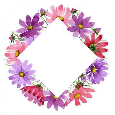 Kır çiçeği kosmeya çiçek çerçeve izole bir suluboya tarzında.