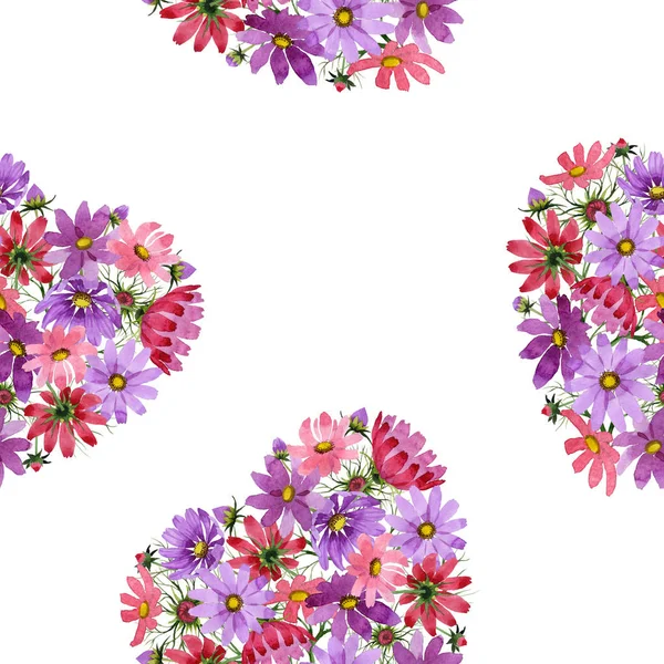 Αγριολούλουδα kosmeya λουλούδι μοτίβο σε στυλ υδροχρώματος απομονωμένες. — Φωτογραφία Αρχείου