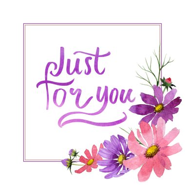 Kır çiçeği kosmeya çiçek çerçeve izole bir suluboya tarzında.