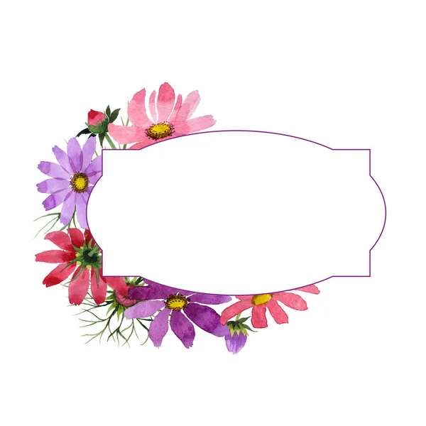 Wildflower kosmeya blomma ram i akvarell stil isolerade. — Stockfoto